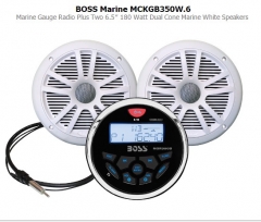  Radio/MP3 & Speakers 